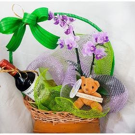 Arranjo cesta mini orquídea, mini pelúcia e vinho 